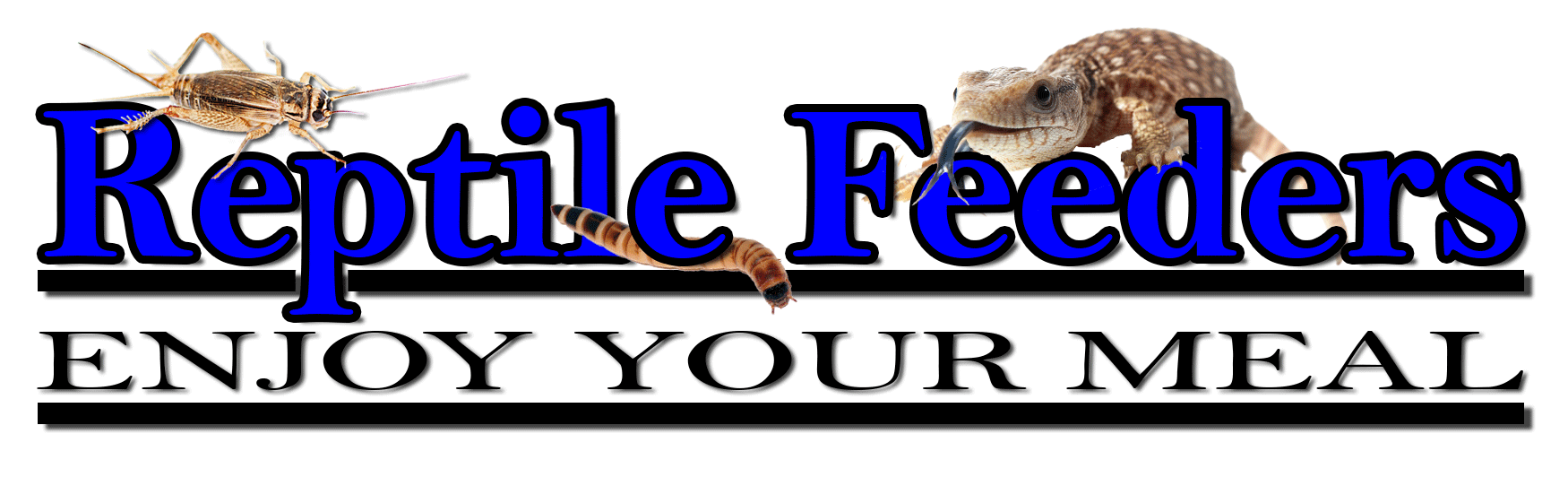Reptile Feeders :: Enjoy Your Meal